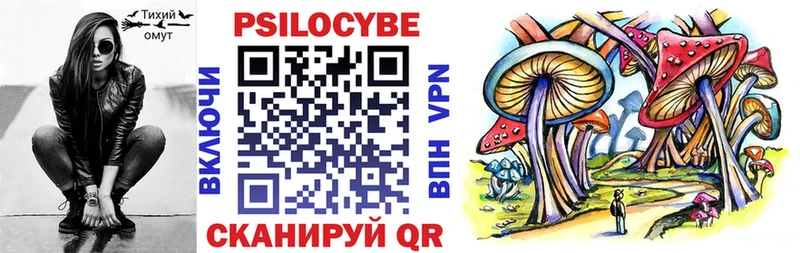 блэк спрут ссылка Нижнеудинск Псилоцибиновые грибы Psilocybe