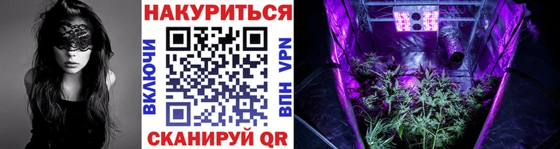 цена наркотик  Нижнеудинск  гидра tor  Шишки марихуана семена 